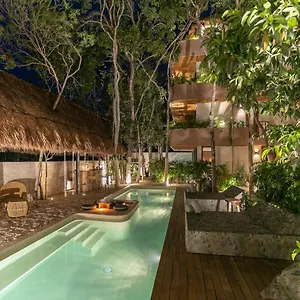 zereno.tulum-hotels.net/
